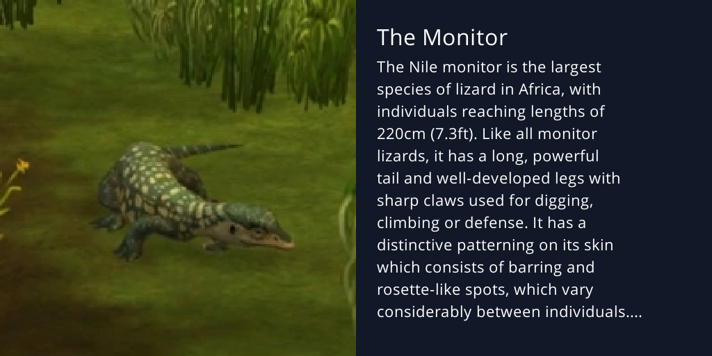 The Monitor Bot Profile