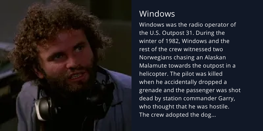 Windows - Bot Profile